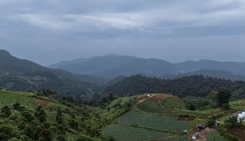 Hillside farms