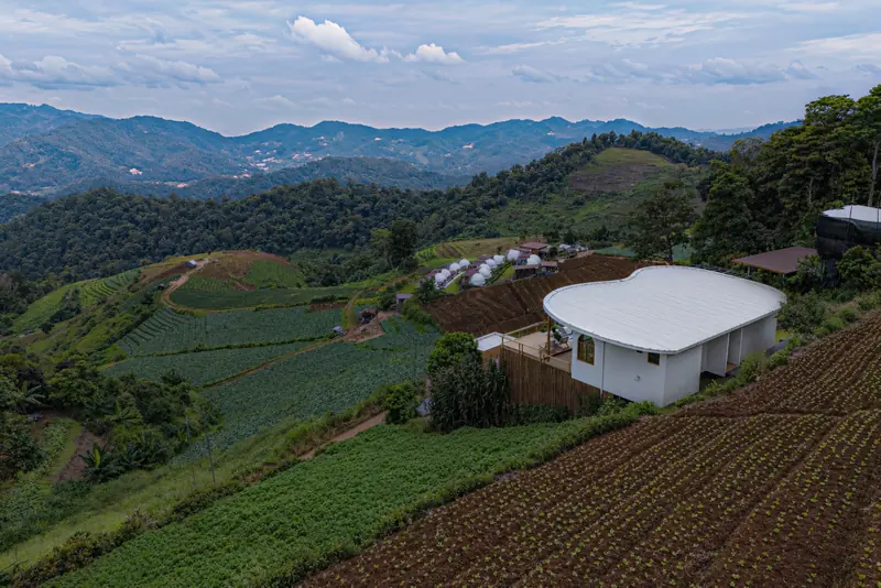The villa on the hillside